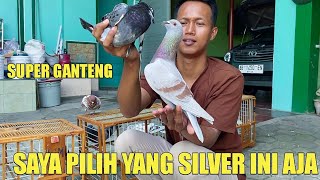 BARU LIAT LANGSUNG NGINCER BURUNG INI TES TERBANG MERPATI PAK DOKTER