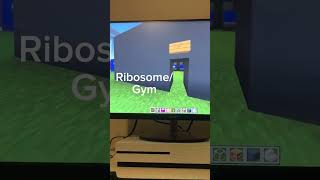 Cell City minecraft project