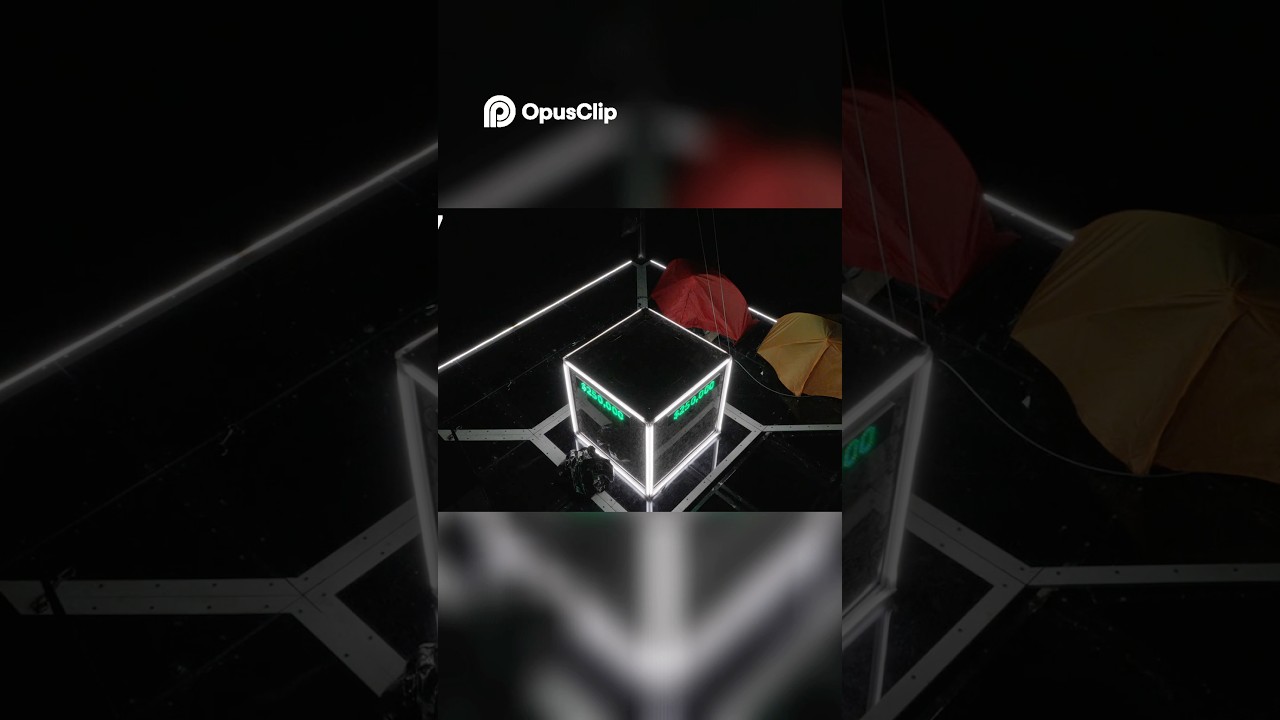 HE ate Cat Food and Lost everything 