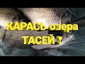 Рыбалка на карася! оз. Тасей.Крупный карась!