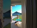 Terrifying Chase… But It Was Just Ducks! 🦆😱 (@madisoncaillouet) #shorts