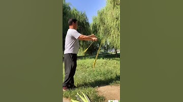 Cần câu cá rô phi, diếc 5,4m, rút 1m câu cá 3-5kg, ngọn 1.2li siêu dẻo🐟 #19 #fishinglife  #shorts