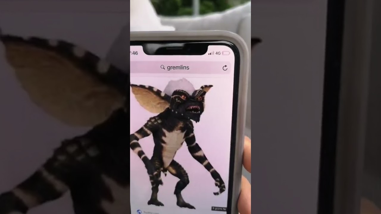 Il cane amorevole di @marikabiadsv 