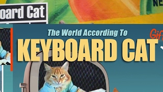 Keyboard Cat 2020 Live Stream