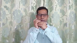 Harmonica Cover Meri Bheegi Bheegi Si