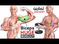 How To Build Your Biceps Fast (6 Effective Exercises)-تمارين البايسبس