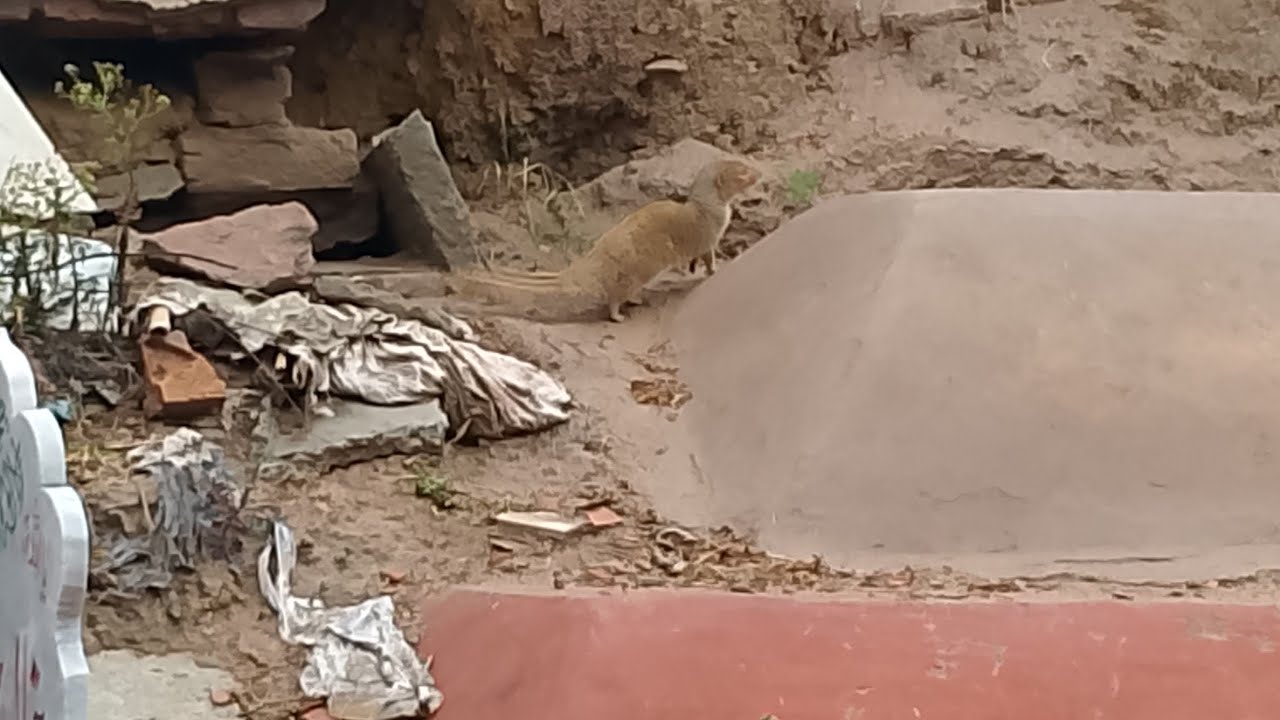 Qabar Ki Pehli Raat 125😱 رمضان المبارک میں حاضری قبرستان میں ہوئی تو ایسا سناٹا دیکھنے کو ملا