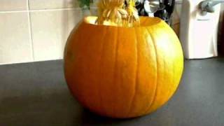 Pumpkin stop motion carving