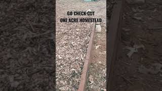 Front Yard Garden Bed | Go check out @oneacrehomestead for full video coming out tonight