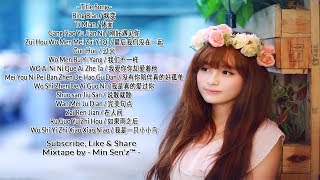 Chinese DJ Remix Popular Song 中國dj混音流行 【 病变 ✘ 体面 ✘ 刚好遇见你 】 - Min Sen'z™