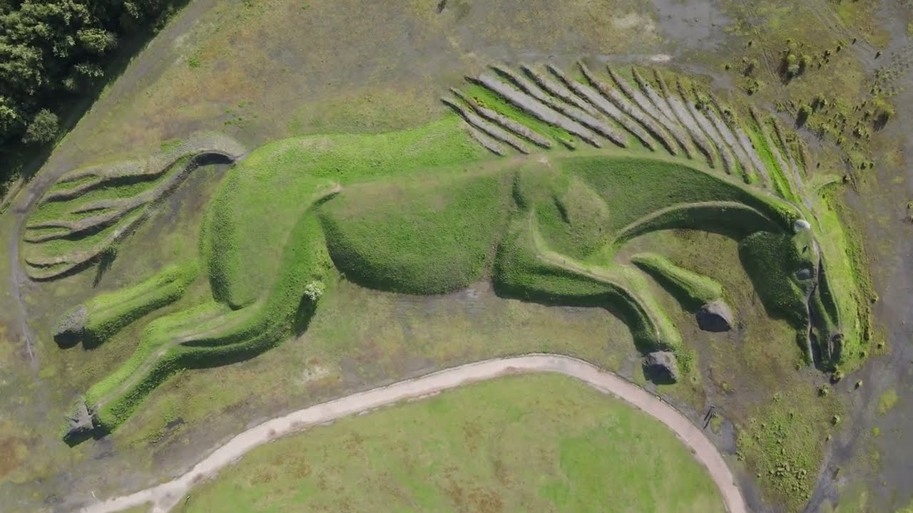 Parc Penallta August 2023