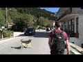 Elati village GREECE walking tour 4K (and dog attack)
