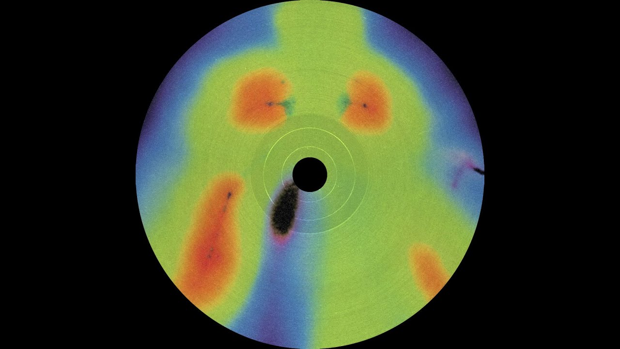 Jorg Kuning - Ainsliens