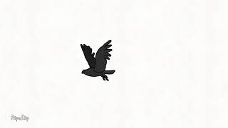 Flying Bird animation(FlipaClip)