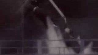 amv -bleach-seether  gr8 amv :P
