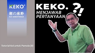 KOI POND Q&A | Keko’s Answers | Koi Tutorial for Beginners (8)