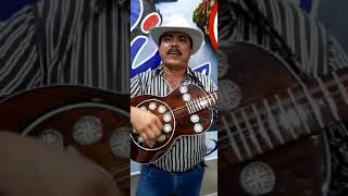 Homenagem A Menina Do Papai Vandenuzia 04.19 De Outubro De 2022