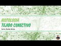 Histología - Tejido Conectivo (Matriz, Fibras y Células)