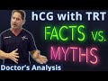 hCG Use with Testosterone: Facts vs. Myths - Doctor&#39;s Analysis