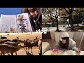 【薬剤師vlog💊】奈良ひとり旅🦌🦌￤勉強📚☡✍🏻￤東大寺⛩ ￤かき氷🍧￤FP試験💸￤読書📖￤