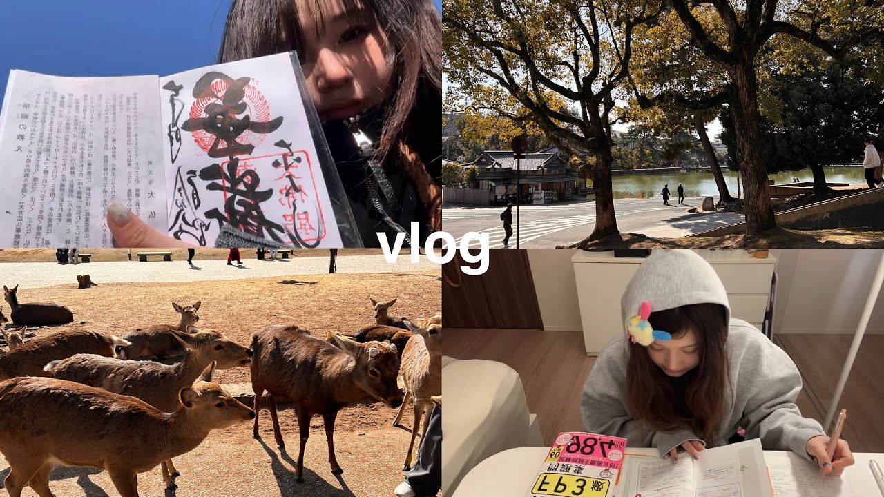【薬剤師vlog💊】奈良ひとり旅🦌🦌￤勉強📚☡✍🏻￤東大寺⛩ ￤かき氷🍧￤FP試験💸￤読書📖￤