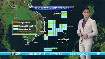 Dự báo thời tiết 9h10 - 17/08/2023 | Ngư trường cá ngừ đại dương tháng 8 | VTVWDB