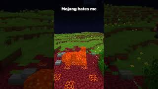 Minecraft Meme