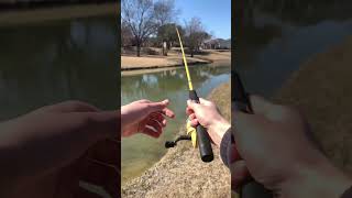 SECRET! Deadly Cold Water Technique 🥶💧#Damiki #Rig #Cold #Water #Bass #Fishing #Tips #Zoom #shorts
