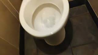 Toilets in the Beefeater (Premier Inn) Eureka Park Ashford