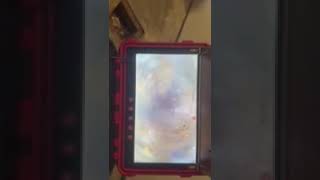 IMG 9367