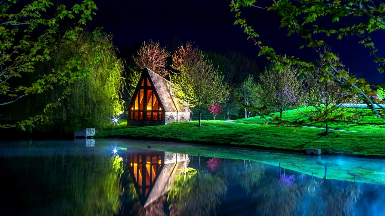 Shelter | Beautiful Chill Music Mix