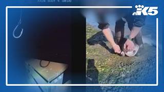 Fisherman accused of targeting protected sharks