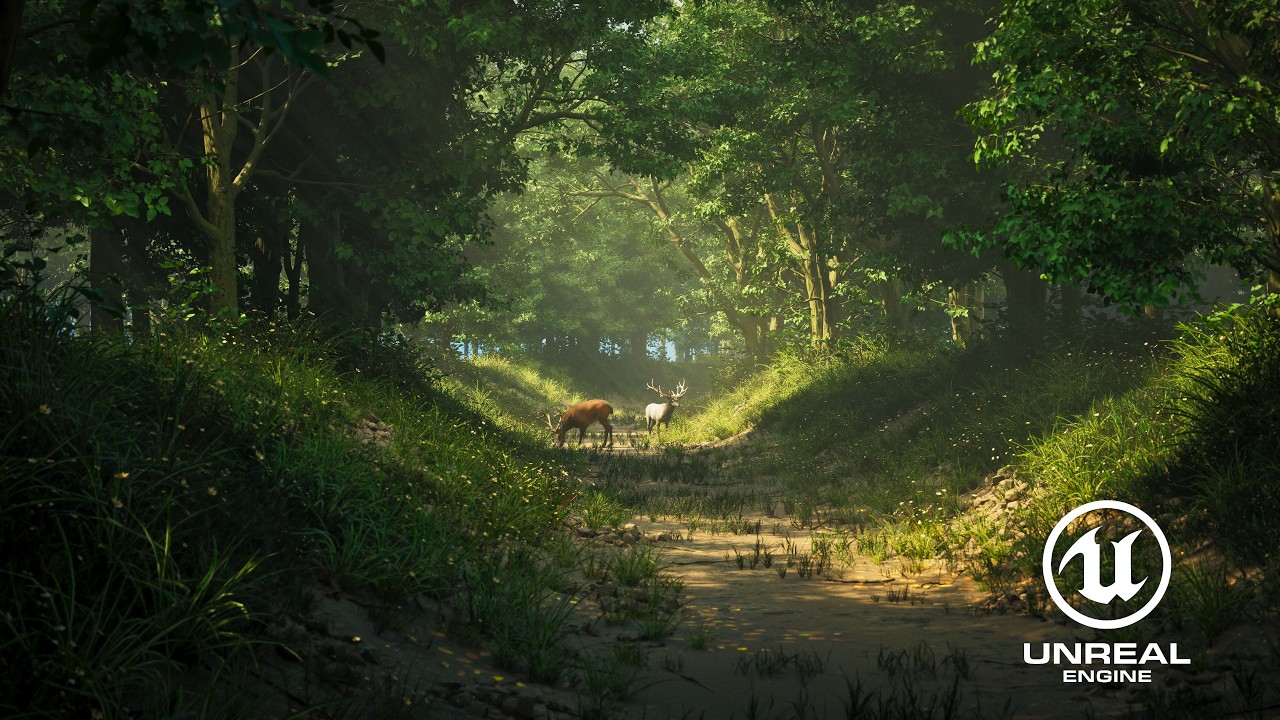 Forest Scene - Unreal Engine 5 - YouTube