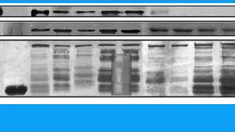 98DEC6929D41D43540D8D12610DF76#1