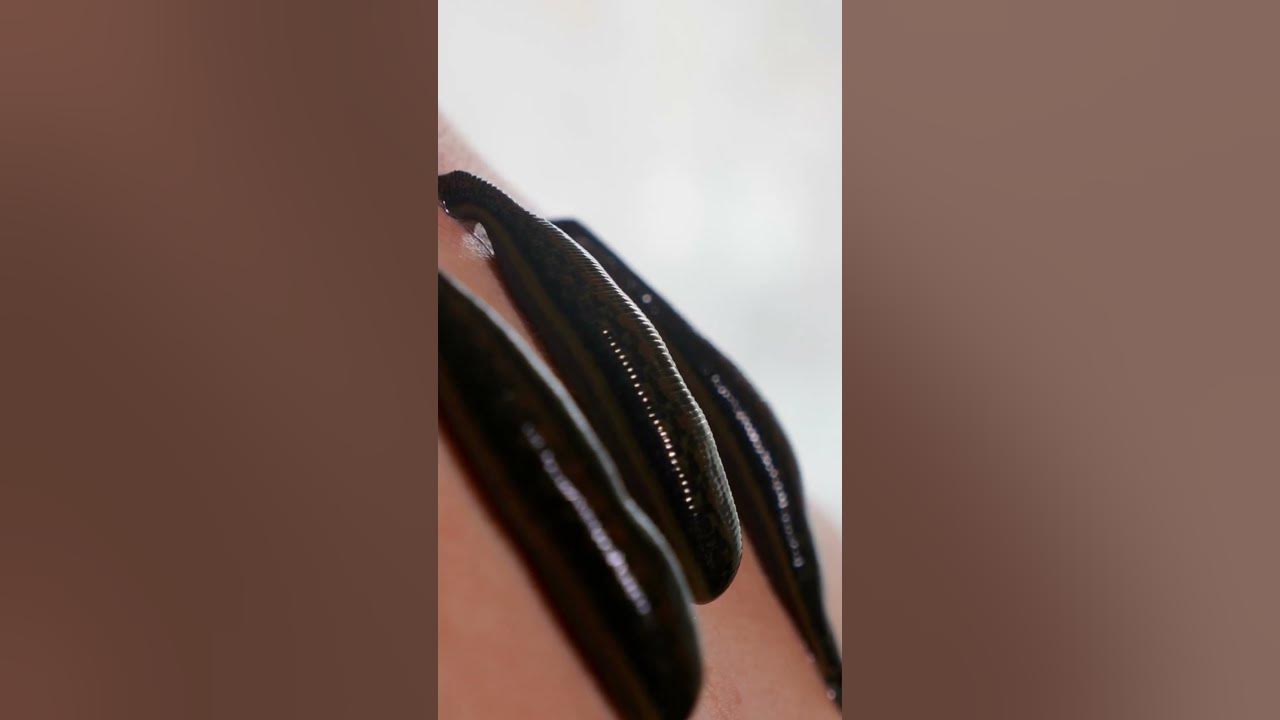 Мартамен бірге анальды австралиялық порно Орыс порно модельдерін кастинг