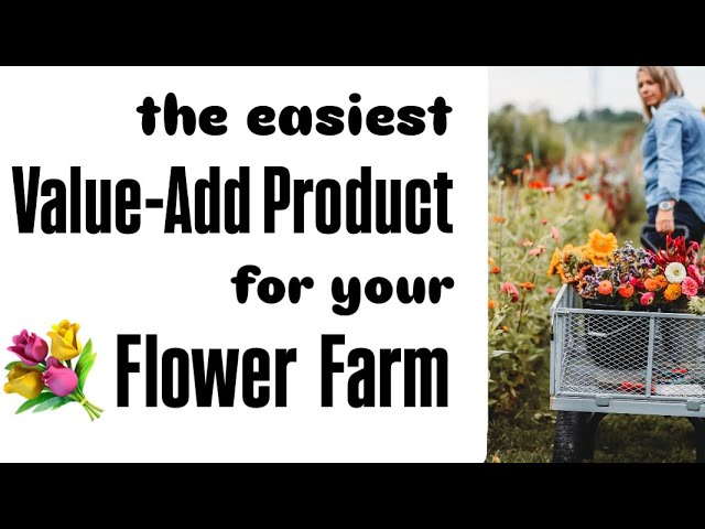 Add this Product to Your Flower Farm for Increased Profits! Cut flowers : Zone 5 : side hustle