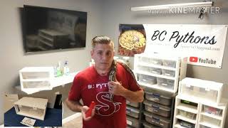 OFFICIAL 900 SUBSCRIBER VIDEO Giveaway