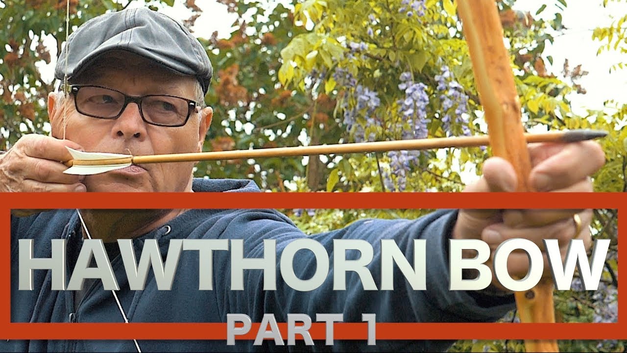 ЛУК ИЗ БОЯРЫШНИКА. Самострел из живой изгороди. Примитивные технологии в живой изгороди. Часть 1.