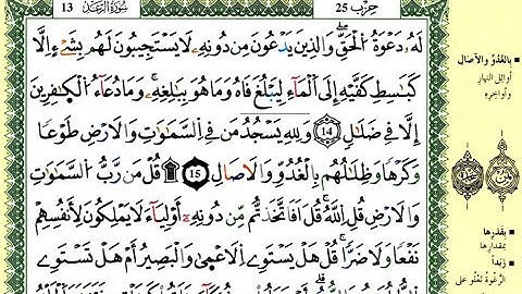 الصفحة 251 :سورة الرعد من الآية 14 إلى 18