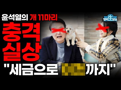 [정치생쇼] 윤석열의 개 11마리 충격실상! &amp;quot;세금으로 이것까지!&amp;quot; I 20221227