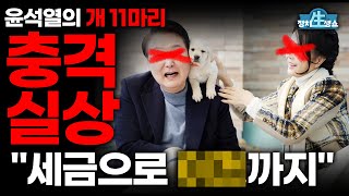 [정치생쇼] 윤석열의 개 11마리 충격실상! 