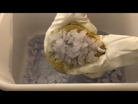 ASMR Huge Purple Laundry Crystals + water create loads of suds for sponge squeezing & cleaning