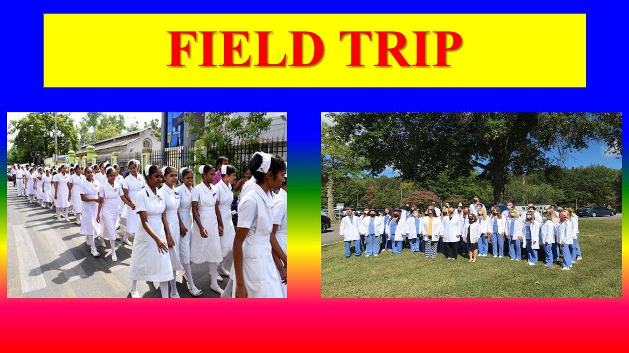 definition of field visit