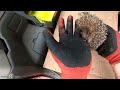 Hedgehog rescue with netting wrapped around its neck - Hornbeam Wood Hedgehog Sanctuary
