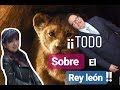 ¡TODO LO QUE TIENES QUE SABER DEL REY LEÓN EN LIVE ACTION ! ........#ELREYLEON #DISNEY #LIVE ACTION