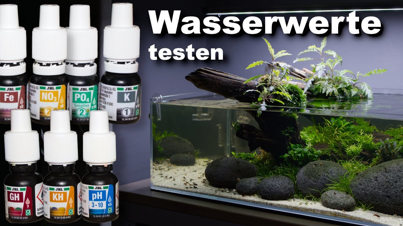 Kleine Weiße Punkte Im Aquarium Die Sich Bewegen WASSERWERTE im AQUARIUM messen | JR Aquascaping - YouTube