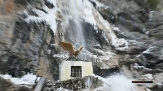 Зимняя Ялта. Водопад Учан-Су. Сосна гигант. Крым. Winter Yalta. Waterfall. Pine giant. Crimea