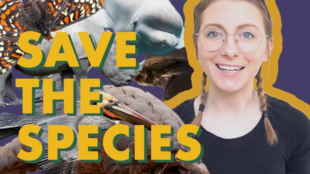 How To Celebrate Endangered Species Day - YouTube