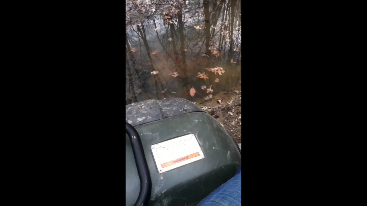 My first frog kill of 2013