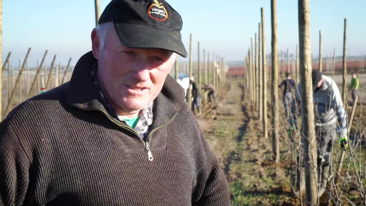 Plantation de pommiers - La ferme des fruitiers - YouTube